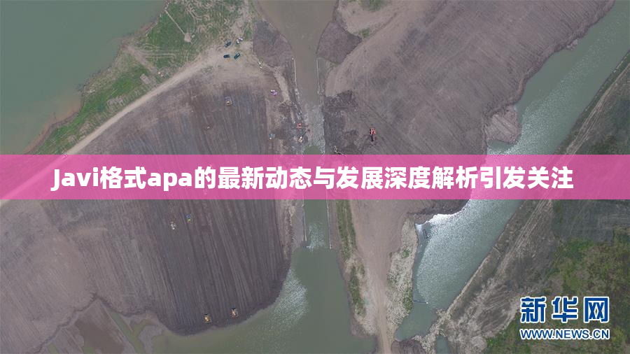 Javi格式apa的最新动态与发展深度解析引发关注