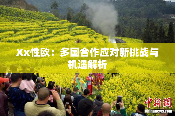 Xx性欧：多国合作应对新挑战与机遇解析
