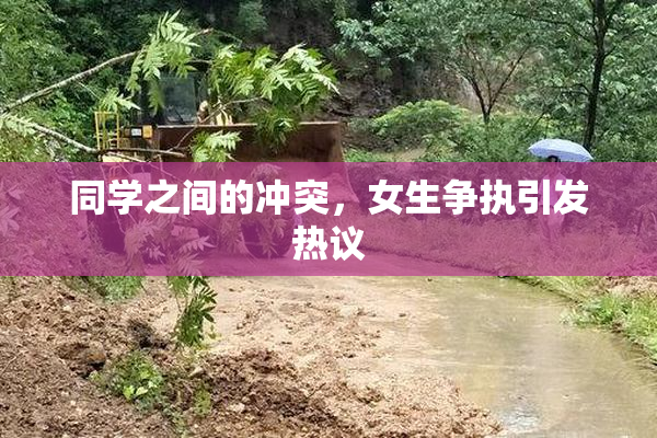 同学之间的冲突，女生争执引发热议