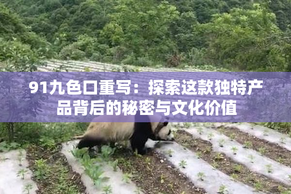 91九色口重写：探索这款独特产品背后的秘密与文化价值