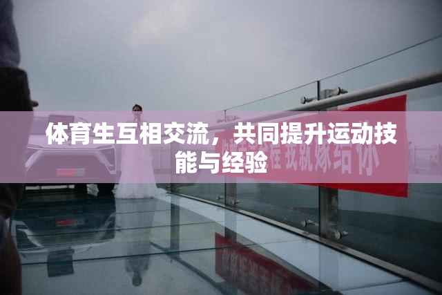 体育生互相交流，共同提升运动技能与经验