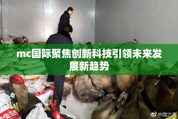 mc国际聚焦创新科技引领未来发展新趋势