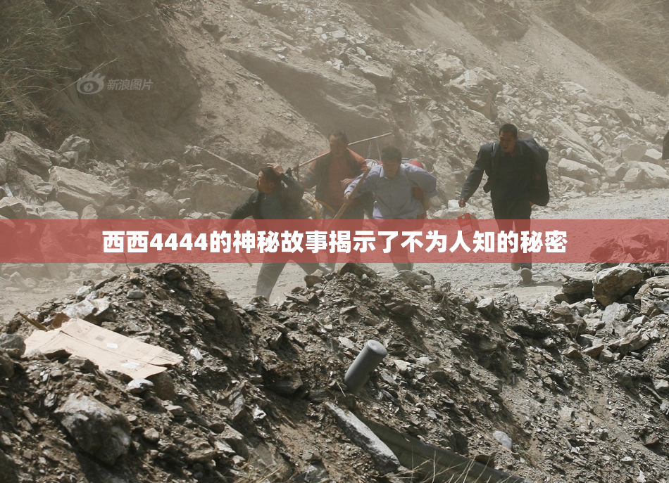 西西4444的神秘故事揭示了不为人知的秘密