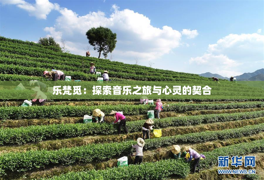乐梵觅：探索音乐之旅与心灵的契合