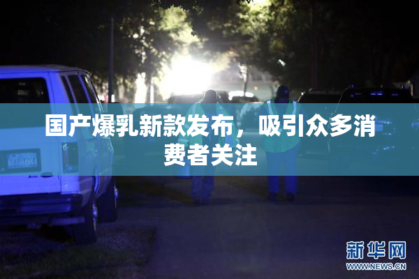 国产爆乳新款发布，吸引众多消费者关注
