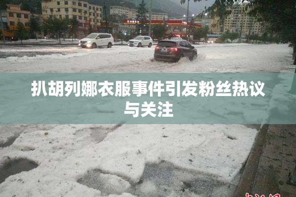 扒胡列娜衣服事件引发粉丝热议与关注