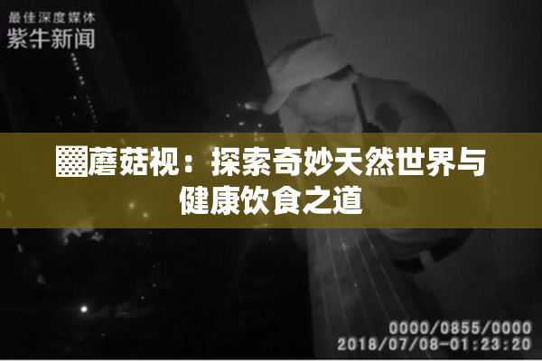 ▓蘑菇视：探索奇妙天然世界与健康饮食之道