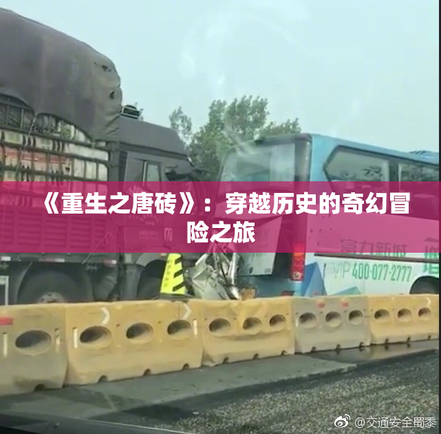 《重生之唐砖》：穿越历史的奇幻冒险之旅