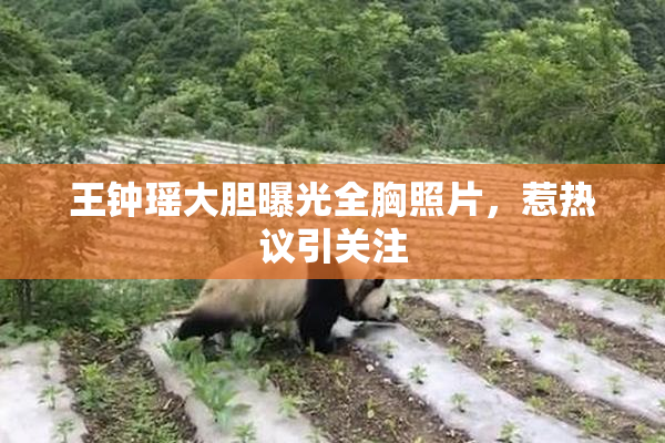 王钟瑶大胆曝光全胸照片，惹热议引关注