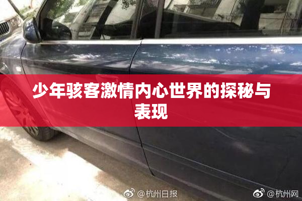 少年骇客激情内心世界的探秘与表现