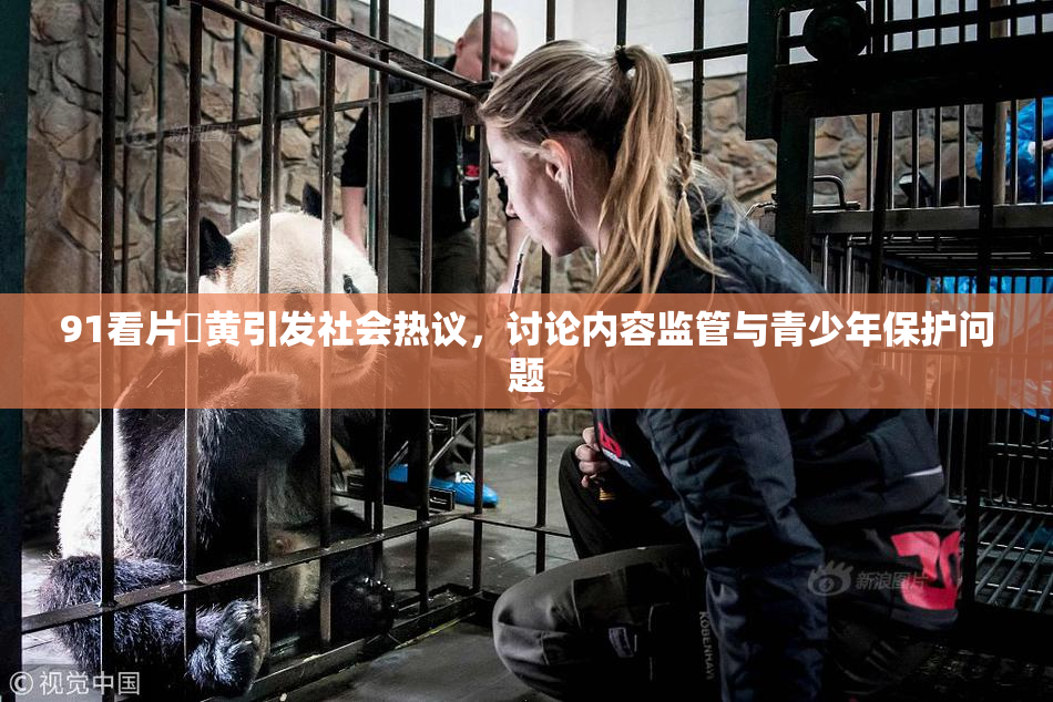 91看片婬黄引发社会热议，讨论内容监管与青少年保护问题
