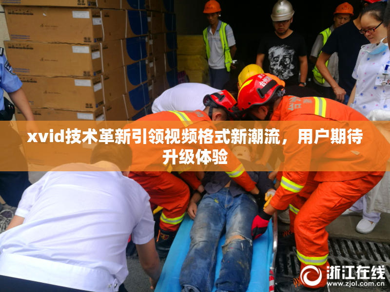 xvid技术革新引领视频格式新潮流，用户期待升级体验