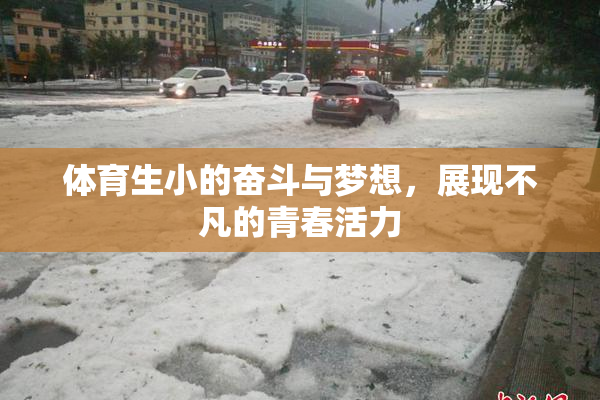 体育生小的奋斗与梦想，展现不凡的青春活力
