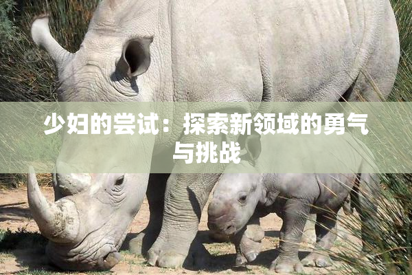 少妇的尝试：探索新领域的勇气与挑战
