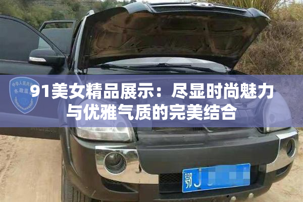 91美女精品展示：尽显时尚魅力与优雅气质的完美结合