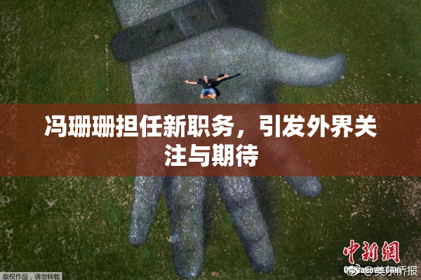 冯珊珊担任新职务，引发外界关注与期待
