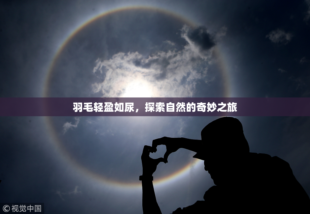 羽毛轻盈如尿，探索自然的奇妙之旅