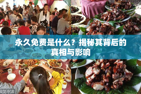 永久免费是什么？揭秘其背后的真相与影响