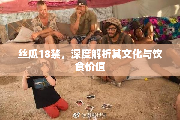 丝瓜18禁，深度解析其文化与饮食价值