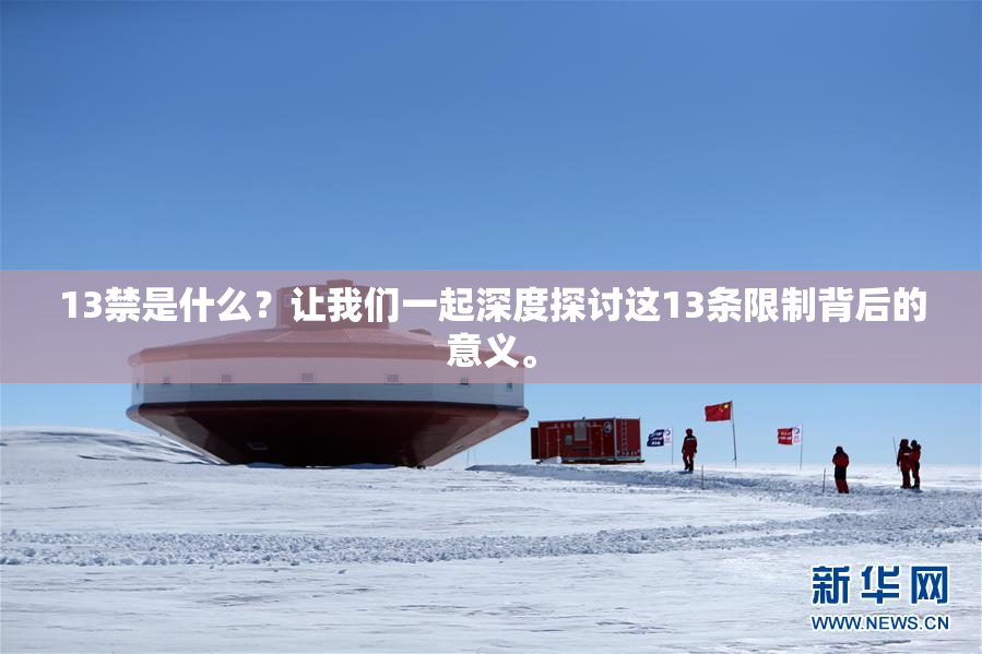 13禁是什么？让我们一起深度探讨这13条限制背后的意义。