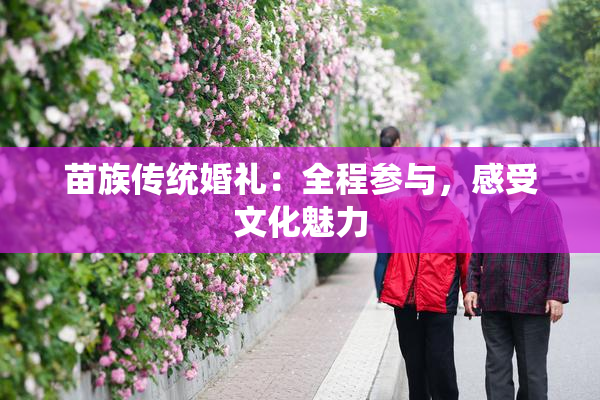 苗族传统婚礼：全程参与，感受文化魅力