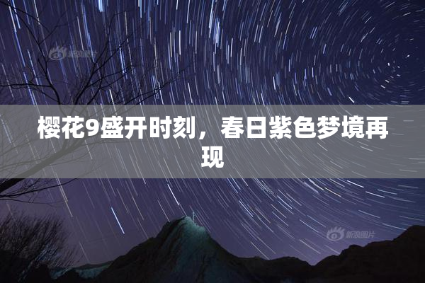 樱花9盛开时刻，春日紫色梦境再现