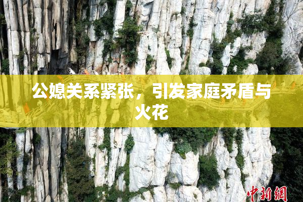 公媳关系紧张，引发家庭矛盾与火花