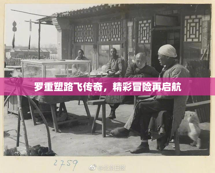 罗重塑路飞传奇，精彩冒险再启航