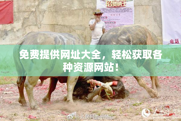 免费提供网址大全，轻松获取各种资源网站！
