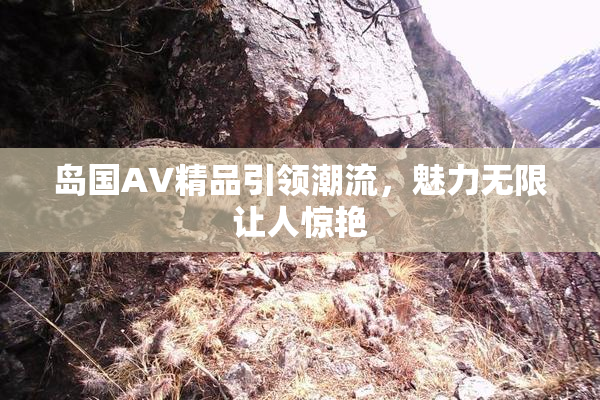 岛国AV精品引领潮流，魅力无限让人惊艳