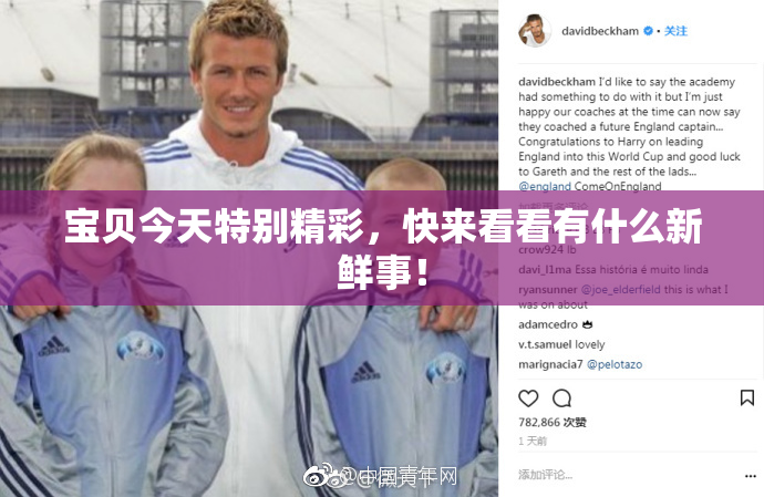 宝贝今天特别精彩，快来看看有什么新鲜事！