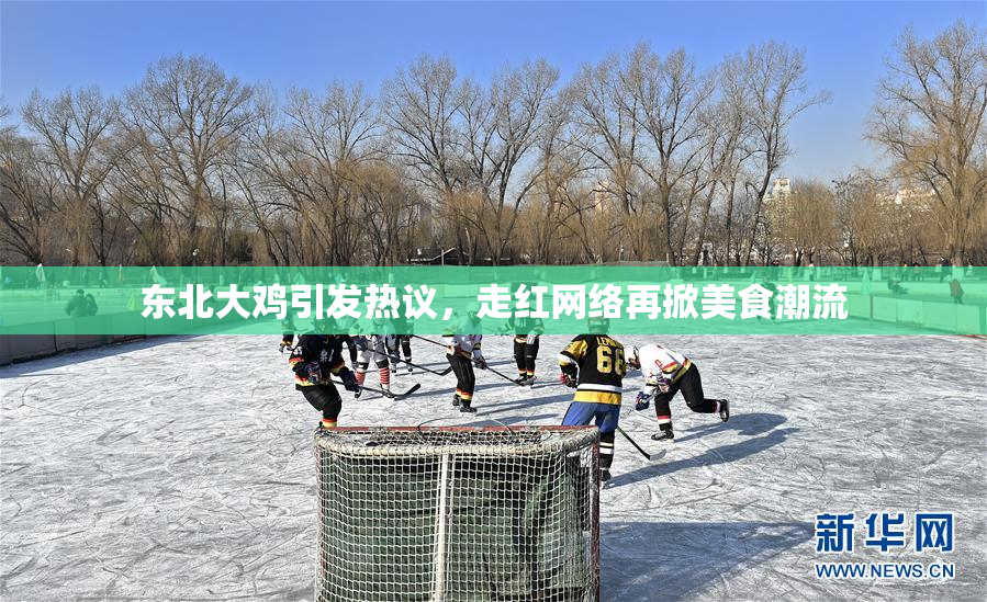 东北大鸡引发热议，走红网络再掀美食潮流