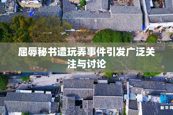 屈辱秘书遭玩弄事件引发广泛关注与讨论