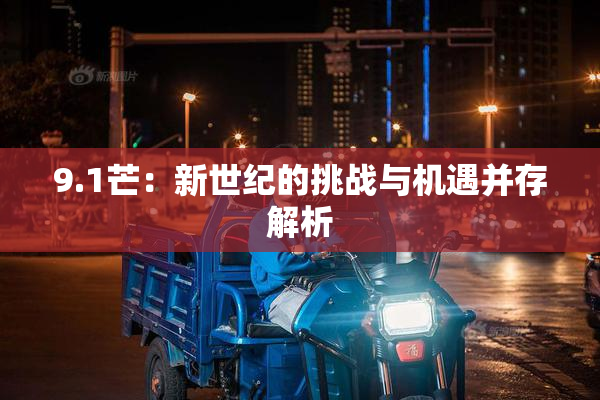 9.1芒：新世纪的挑战与机遇并存解析