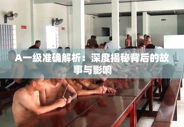 A一级准确解析：深度揭秘背后的故事与影响