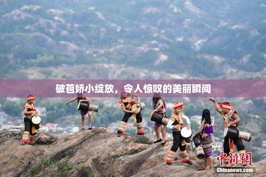 破苞娇小绽放，令人惊叹的美丽瞬间