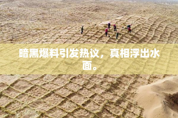 暗黑爆料引发热议，真相浮出水面。