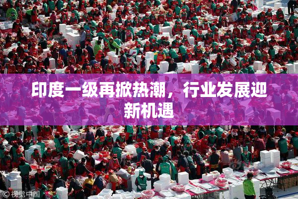 印度一级再掀热潮，行业发展迎新机遇