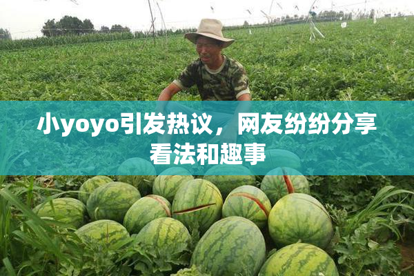 小yoyo引发热议，网友纷纷分享看法和趣事