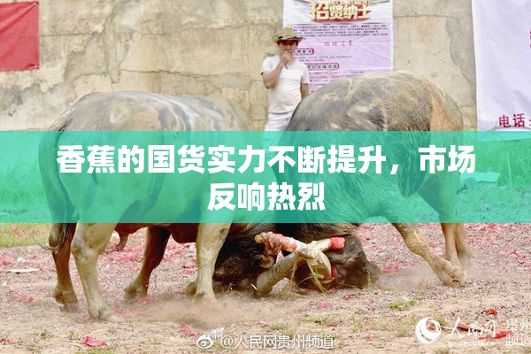 香蕉的国货实力不断提升，市场反响热烈