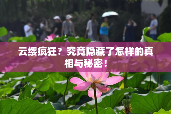 云缨疯狂？究竟隐藏了怎样的真相与秘密！