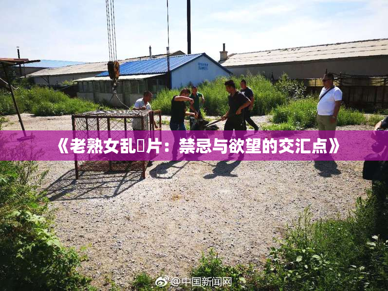 《老熟女乱婬片：禁忌与欲望的交汇点》