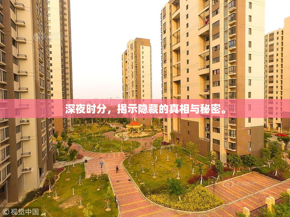 深夜时分，揭示隐藏的真相与秘密。