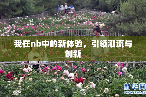 我在nb中的新体验，引领潮流与创新