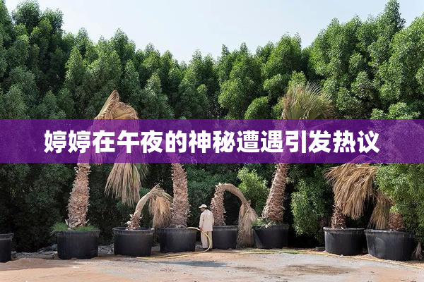婷婷在午夜的神秘遭遇引发热议
