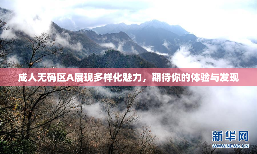 成人无码区A展现多样化魅力，期待你的体验与发现