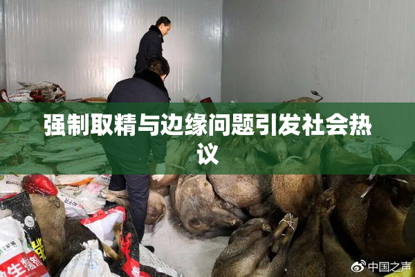强制取精与边缘问题引发社会热议