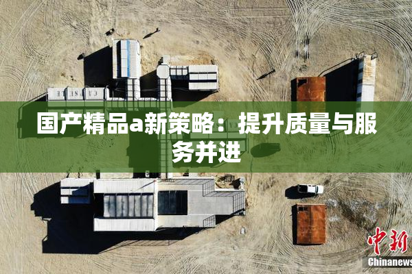 国产精品a新策略：提升质量与服务并进