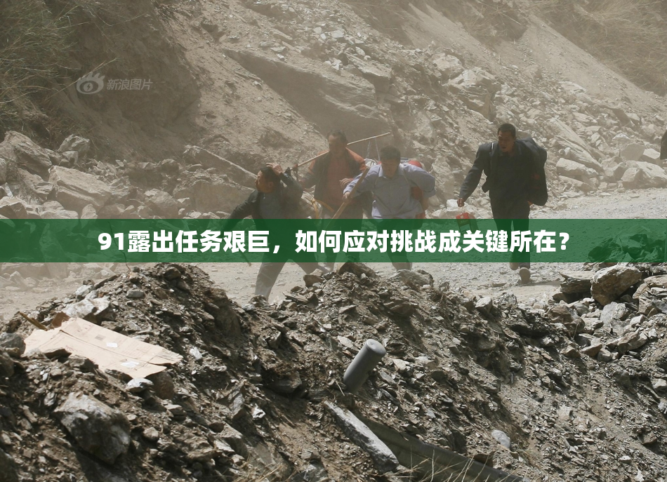 91露出任务艰巨，如何应对挑战成关键所在？