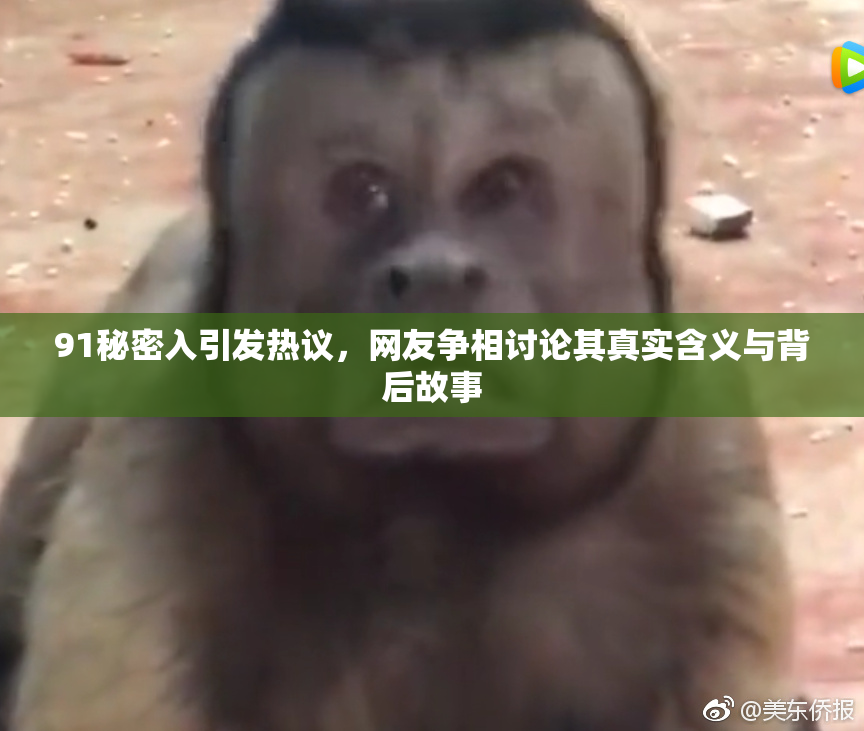 91秘密入引发热议，网友争相讨论其真实含义与背后故事